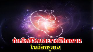 กำเนิดชีวิตและร่างมีวิญญานในอัลกรุอาน