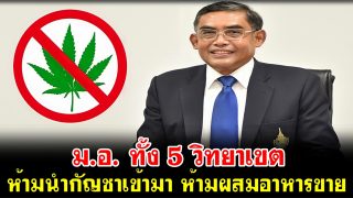 มหาวิทยาลัยสงขลานครินทร์(ม.อ.) 5 วิทยาเขตสั่งห้ามนำกัญชาเข้ามา