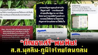 “กัญชาเสรี”พ่นพิษ! ส.ส.มุสลิม-ภูมิใจไทยโดนถล่ม