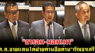 “ฮารอม-มอมเมา” ส.ส.ชายแดนใต้ฝ่ายค้านฮือต้าน “กัญชาเสรี”