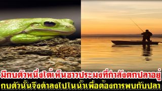 มีกบตัวหนึ่งได้เห็นชาวประมงที่กำลังตกปลาอยู่ กบตัวนั้นจึงดำลงไปในน้ำเพื่อต้องการพบกับปลา
