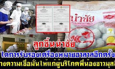 ลูกชิ้นนำชัย ได้การรับรองเครื่องหมายฮาลาลอีกครั้ง สร้างความเชื่อมั่นให้แก่ผู้บริโภคพี่น้องชาวมุสลิม
