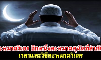 ละหมาดวิเตร อีกหนึ่งละหมาดสุนัตที่สำคัญ เวลาและวิธีละหมาดวิเตร