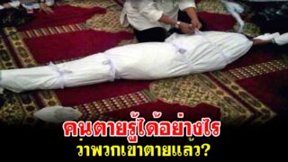 คนตายรู้ได้อย่างไร ว่าพวกเขาตายแล้ว?
